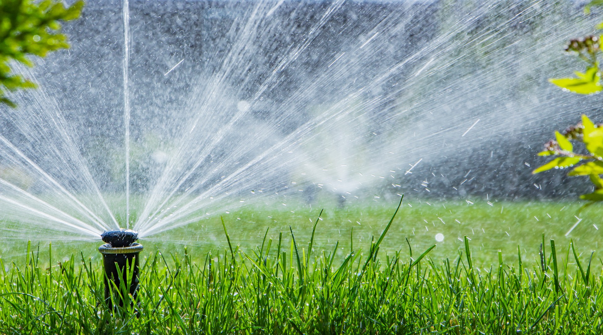 automatic sprinkler system watering the lawn on a background of green grass